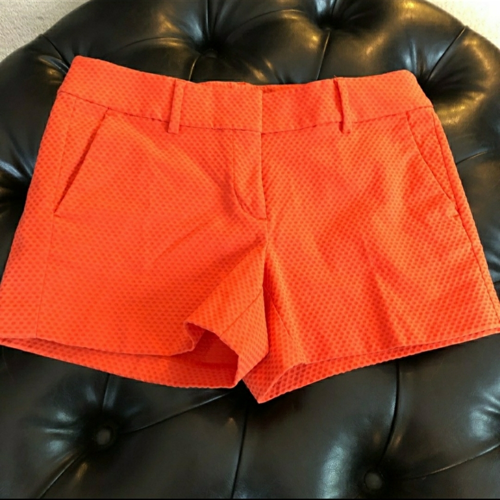 Orange Ann Taylor Shorts